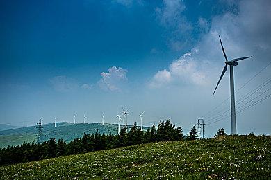 回合制游戏《灵途》即将开测，2022首发创新不容错过！